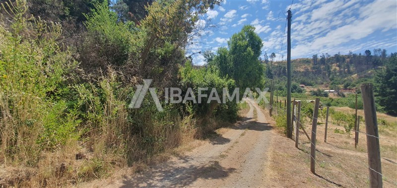 Parcela en Quillón, Estero Coyanco