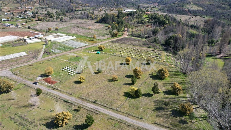 Parcela en Quillón, Santa Ana (2)